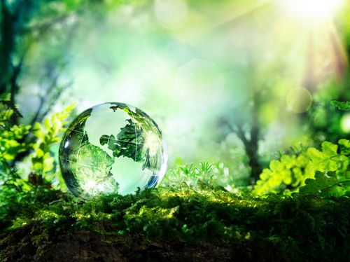 MIA - Mercy Global Action Newsletter #76 Now Online
